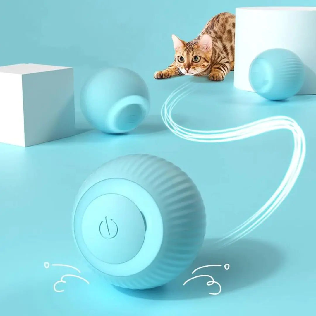 Smart Pet Toy Ball