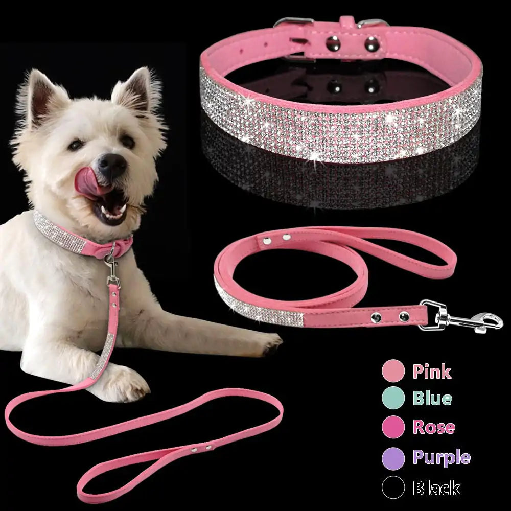 2 In 1 Pet Collar Leash Set