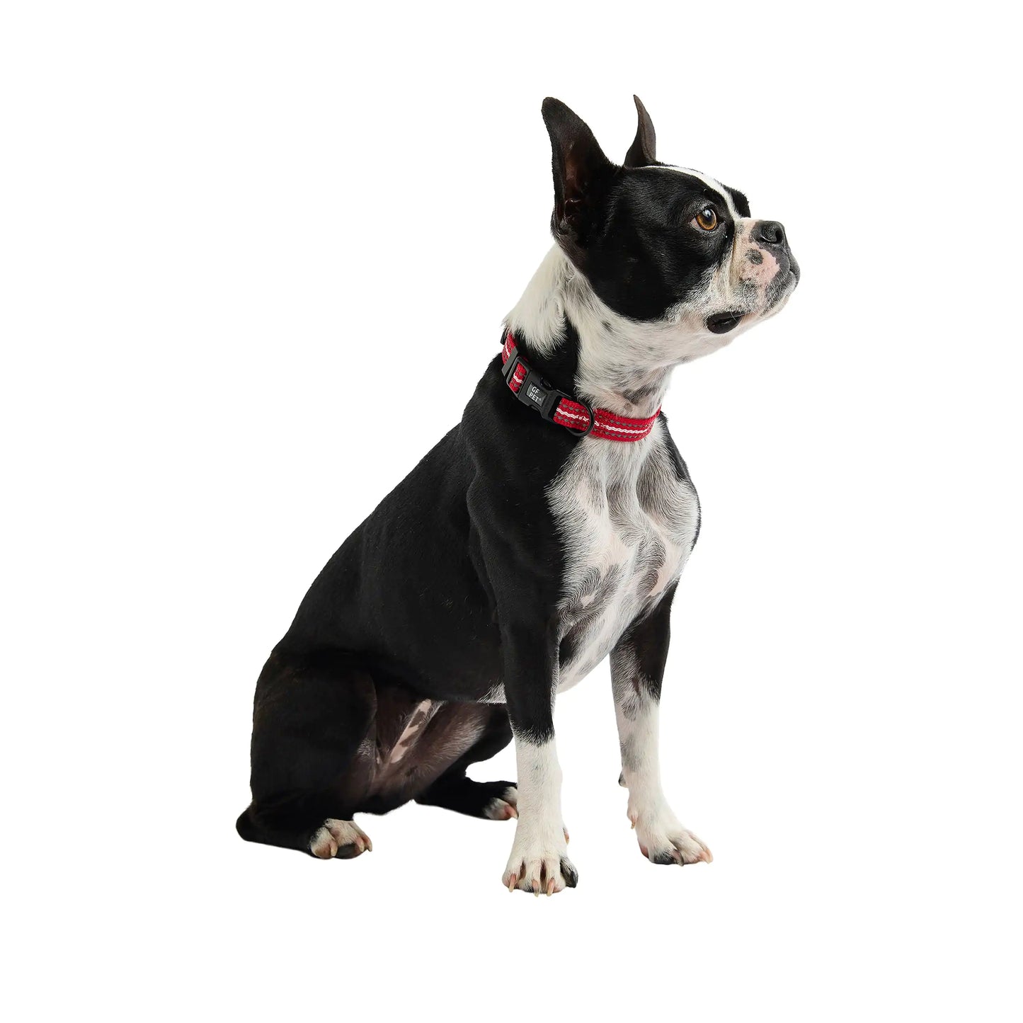 Reflective Dog Collar - Red
