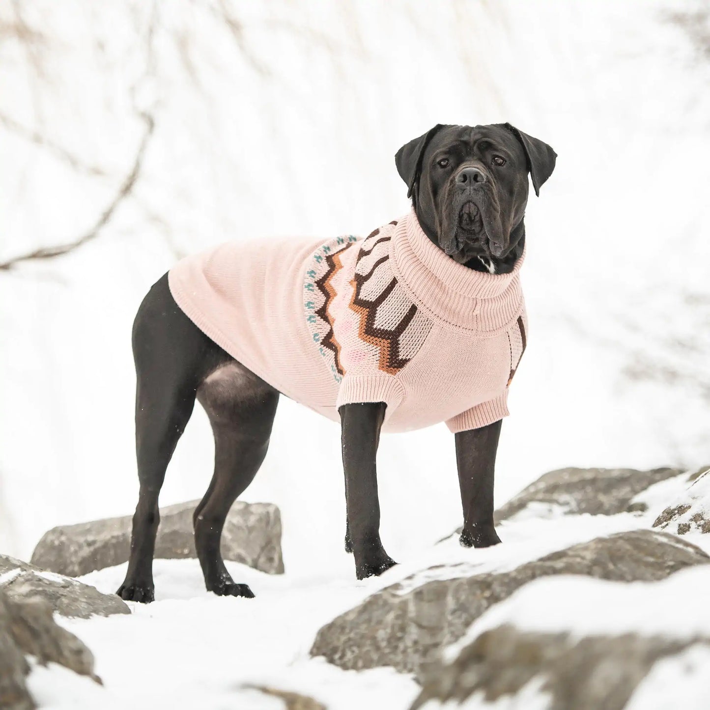 Heritage Dog Sweater - Pink