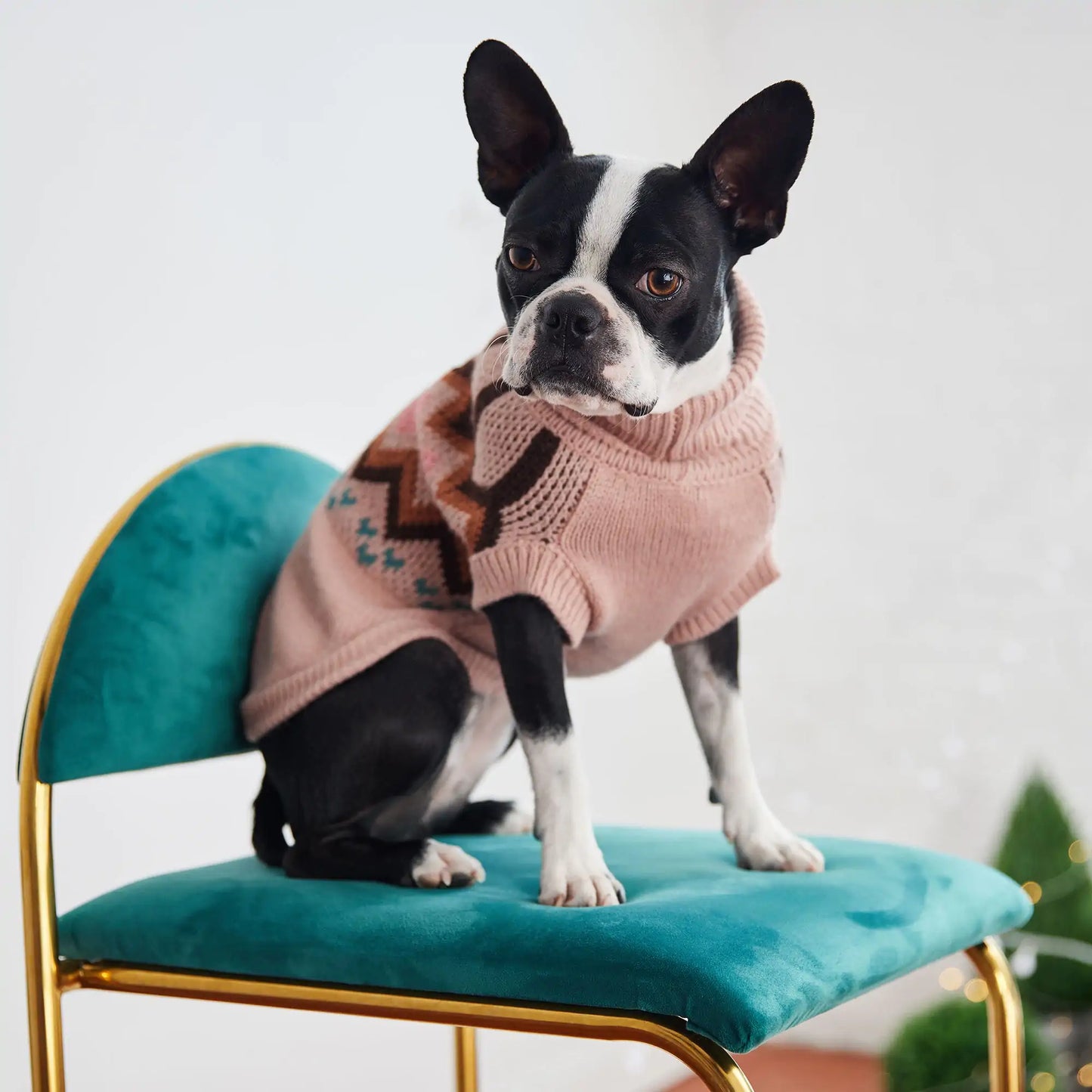 Heritage Dog Sweater - Pink
