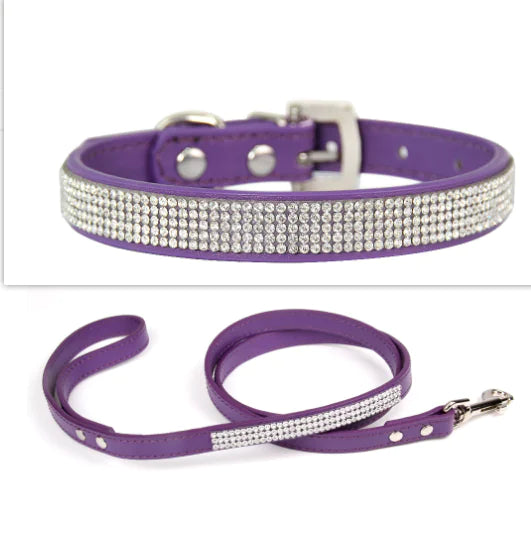 2 In 1 Pet Collar Leash Set