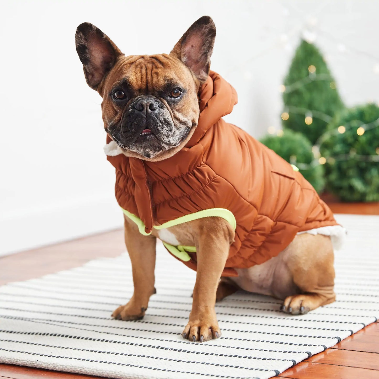 Super Puff Parka Dog Jacket - Hazel